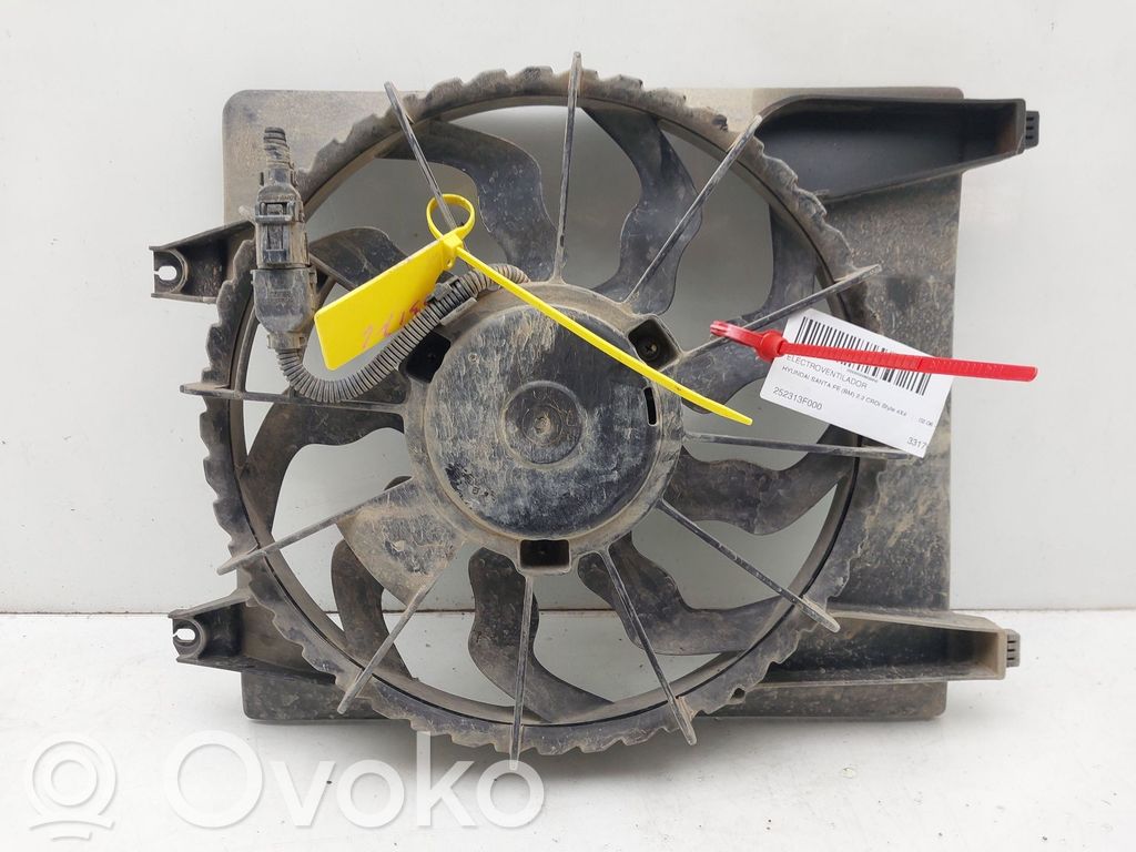 Elektrolüfter   252313F000