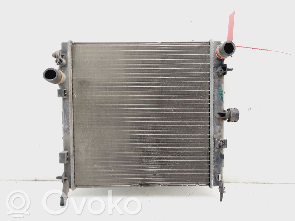 Citroen C3 Pluriel Aušinimo skysčio radiatorius 