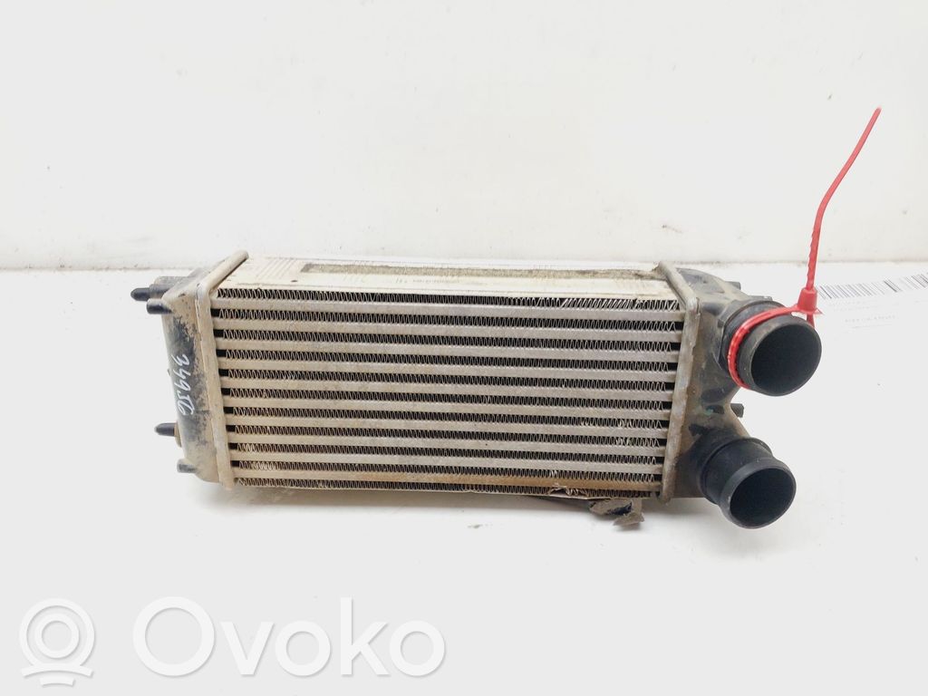 Ford Ecosport Radiatore intercooler 