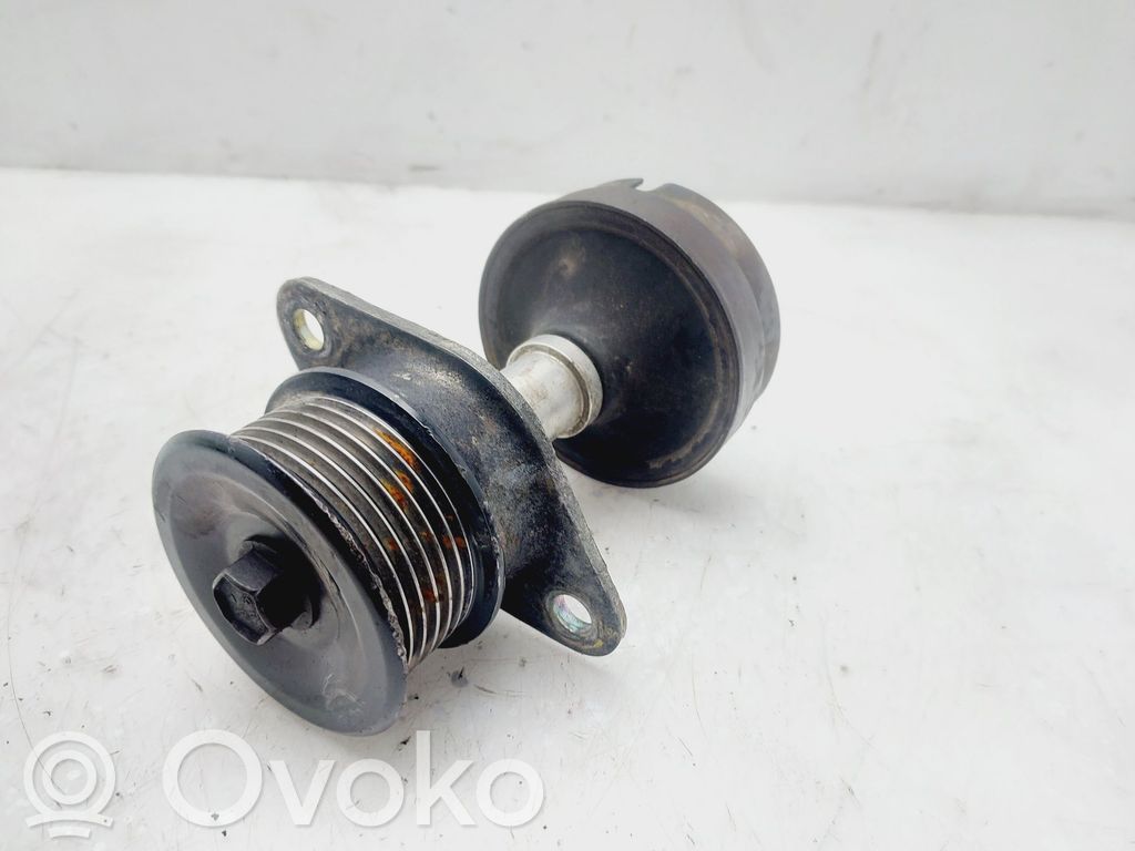 Ford Focus Polea del alternador 
