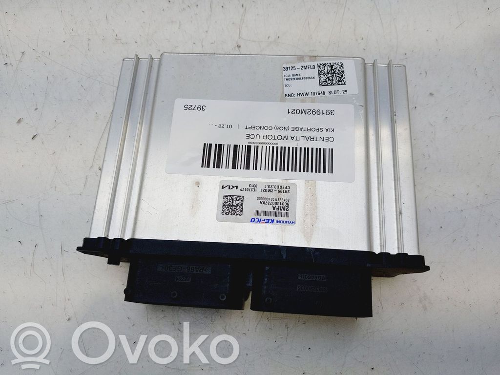Engine control unit/module   391992M021