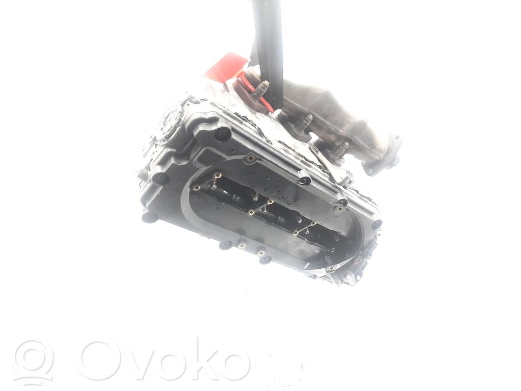 Galvutė   0594AF
