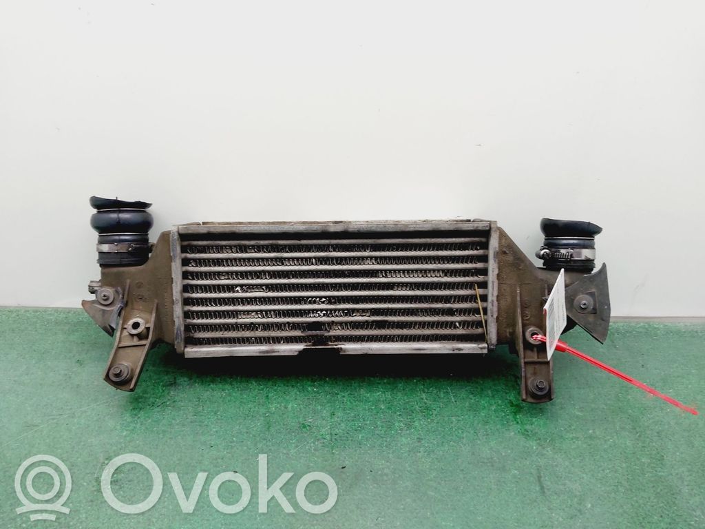 Ford Focus Starpdzesētāja radiators 