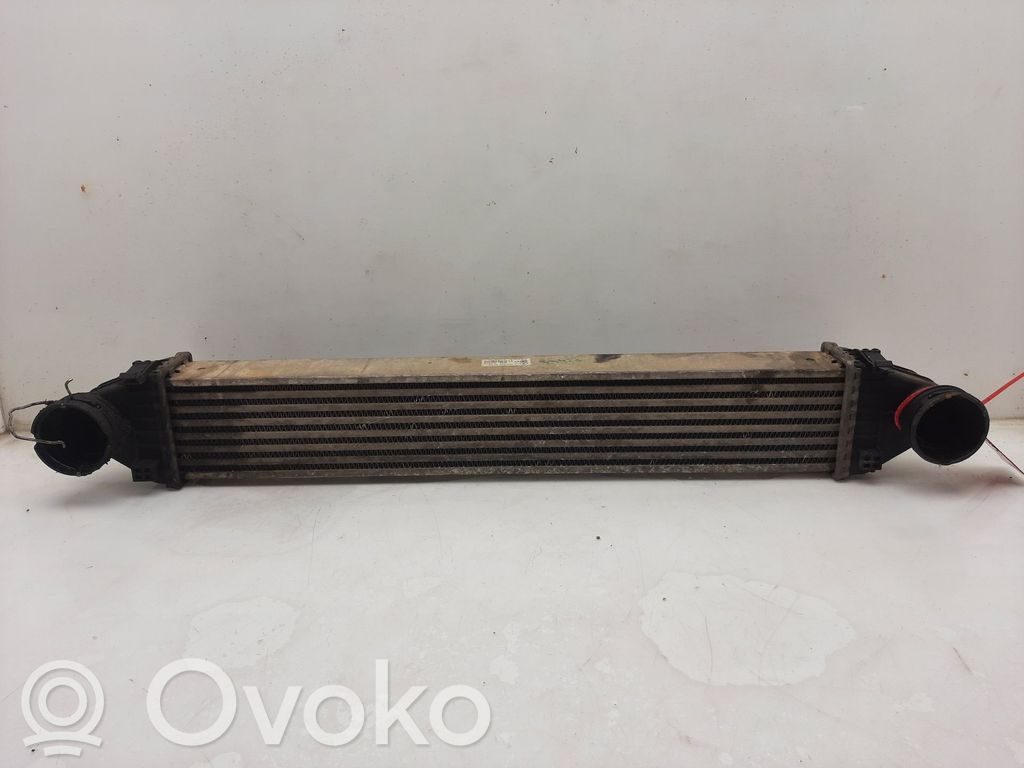 Radiador intercooler   A1695000000