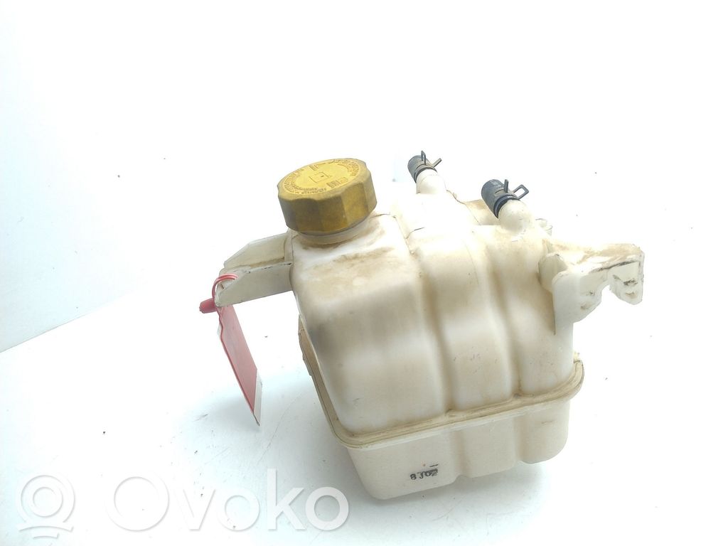Chevrolet Captiva Serbatoio di compensazione del liquido refrigerante/vaschetta