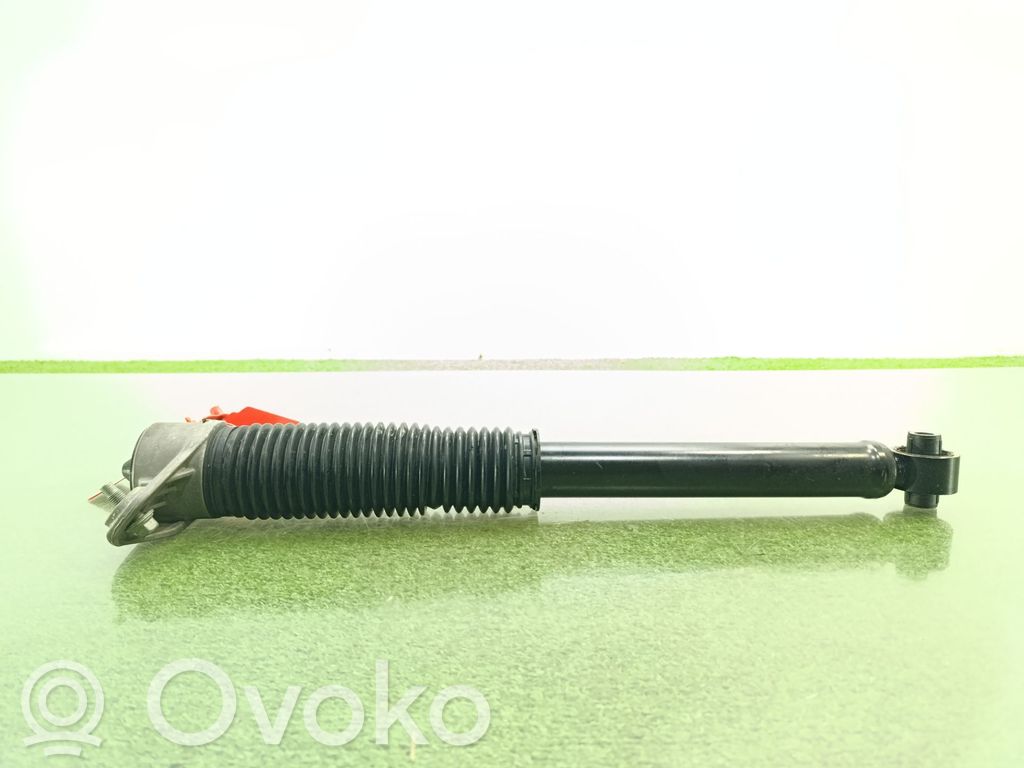 Amortizor spate   55300R2000