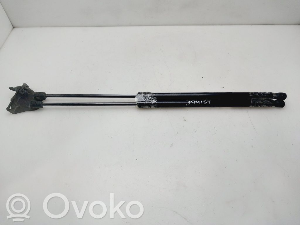 Amortizor hayon   8731V2