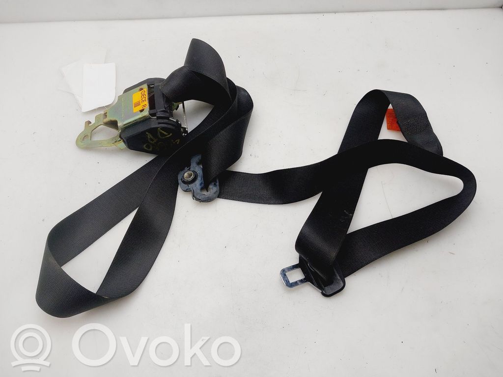 Cinturón delantero   8217376
