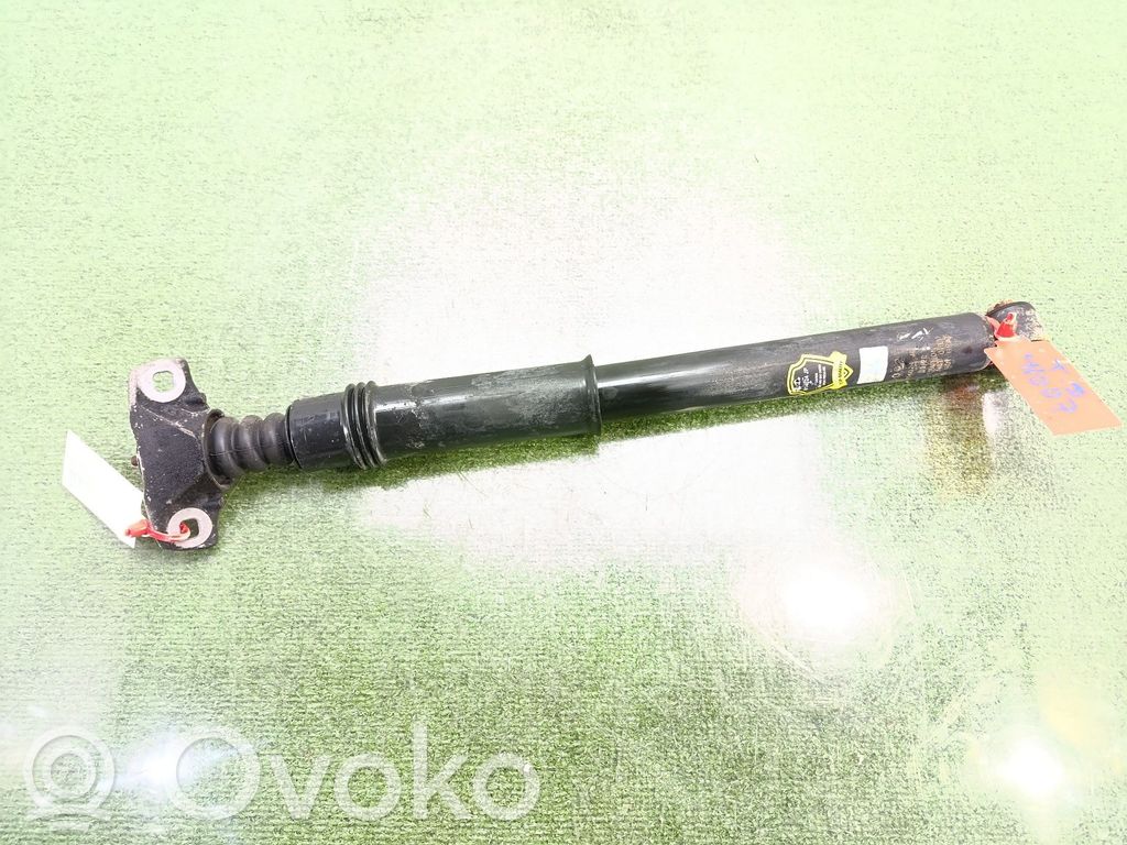Citroen C4 I Ammortizzatore posteriore
