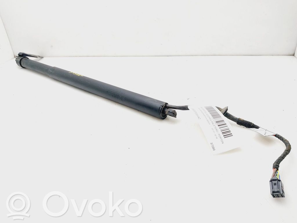 Tailgate/trunk strut/damper   J9C370354AC