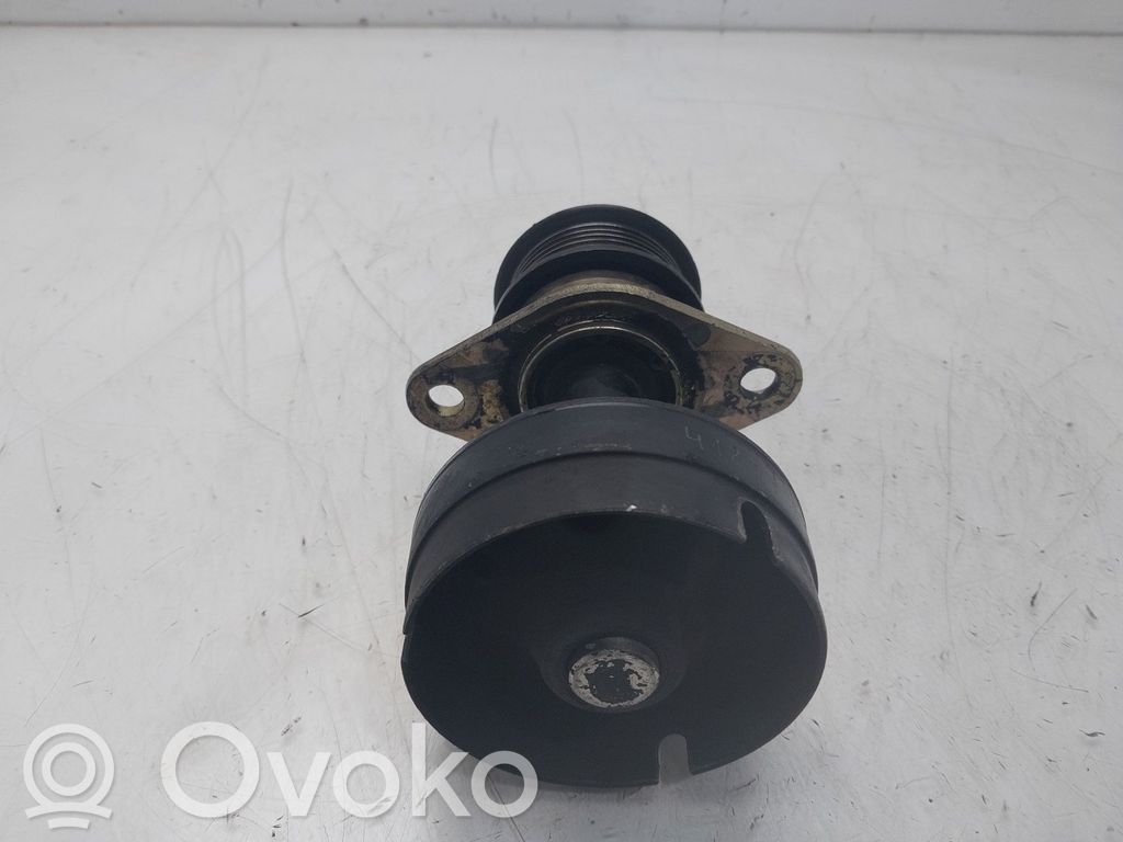 Ford Focus Polea del alternador 