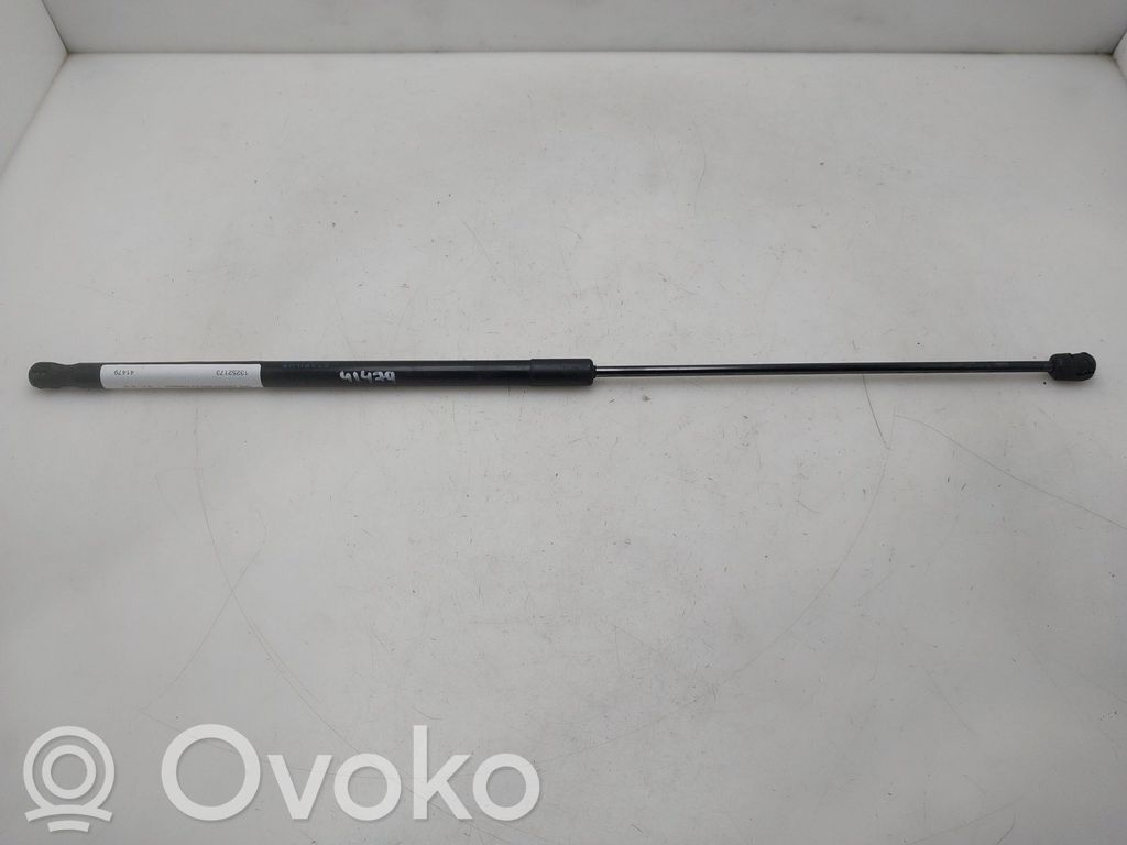 Opel Insignia A Ammortizzatore portellone anteriore/cofano 