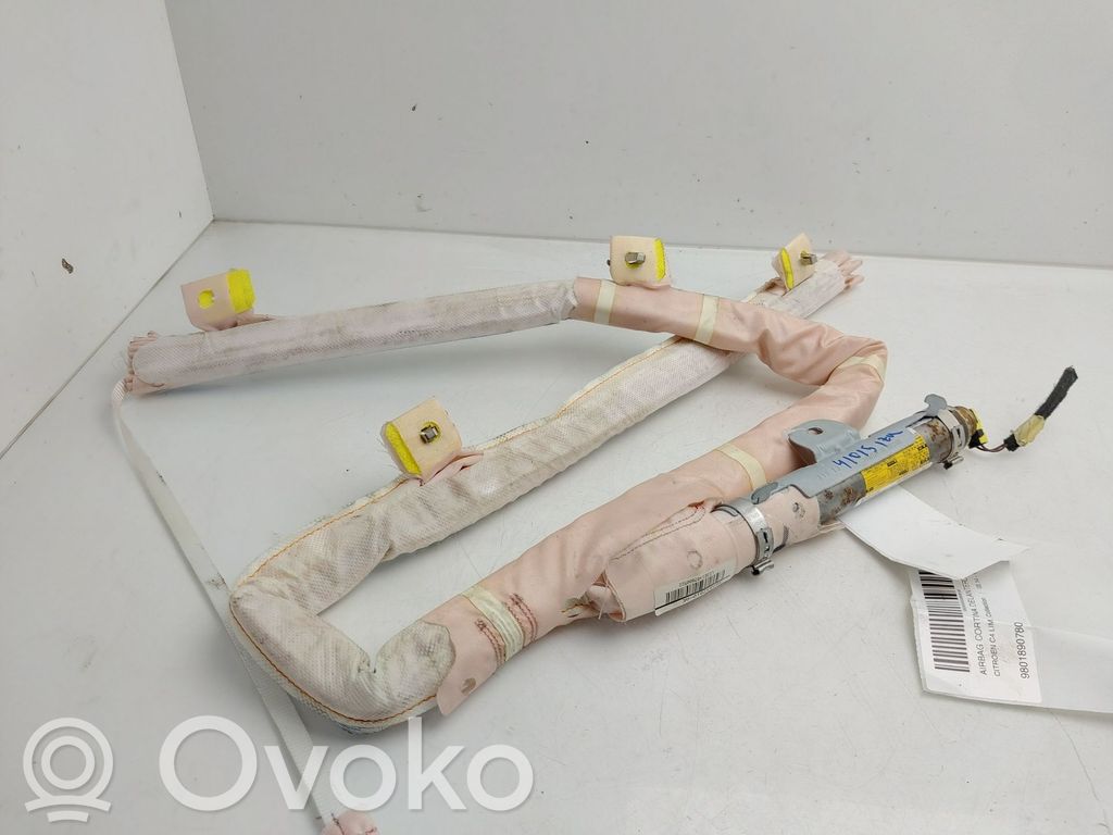 Airbag del techo   9801890780