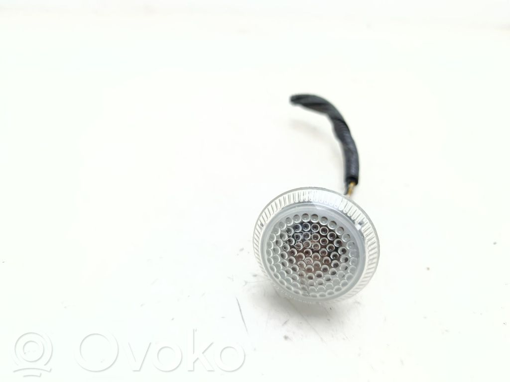 Ford Tourneo Seitenblinker 