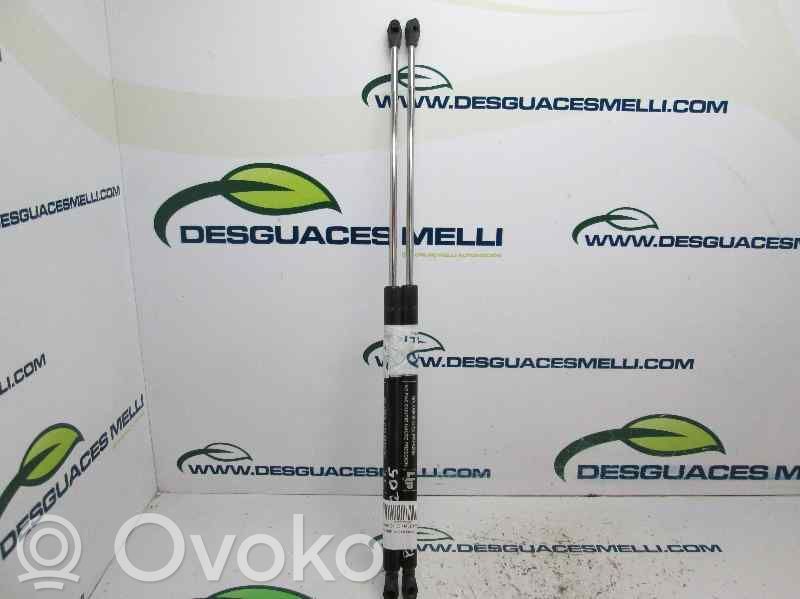 Peugeot 205 Tailgate/trunk strut/damper 
