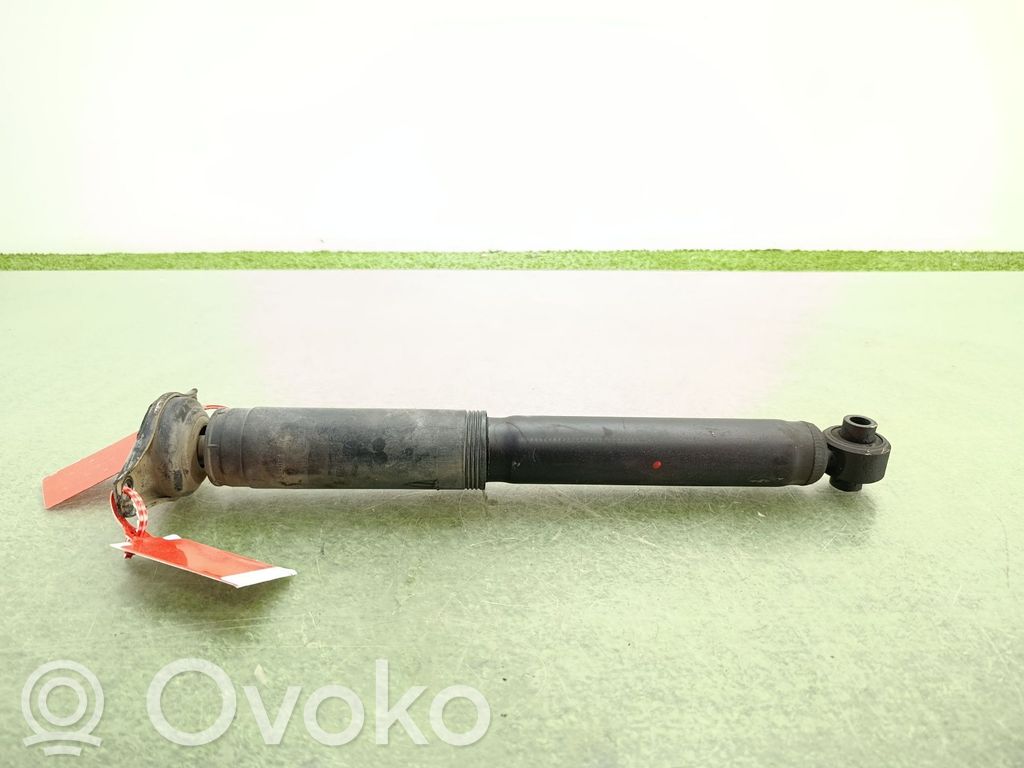 Stoßdämpfer hinten   1746172