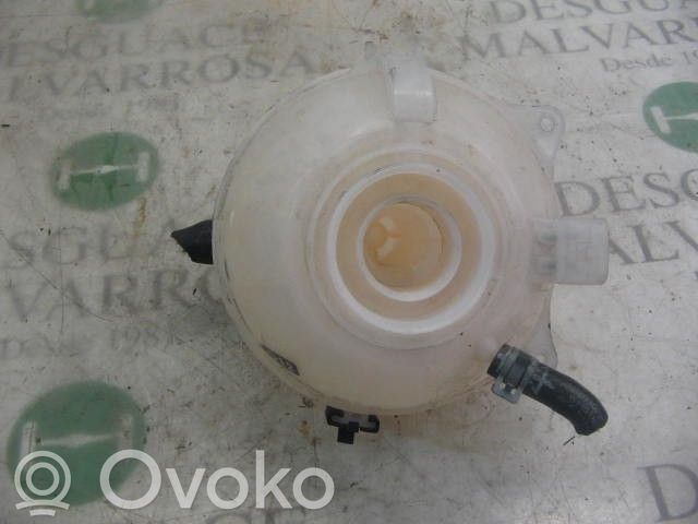 Seat Ibiza III (6L) Vas expansiune combustibil