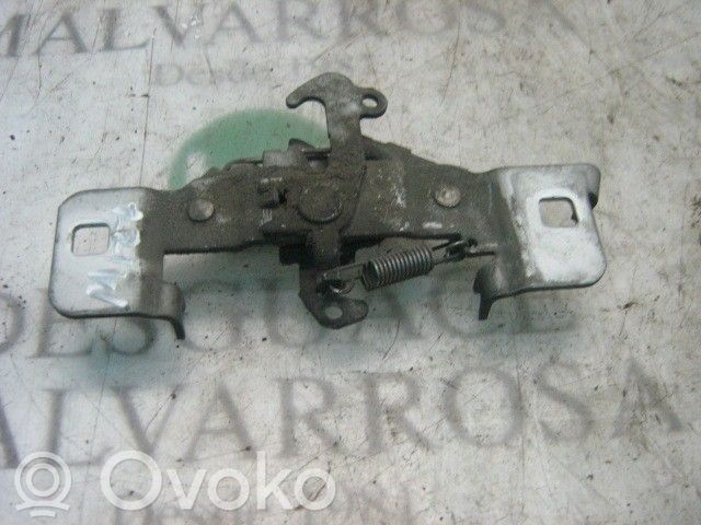 Tie down hook / loop   793443