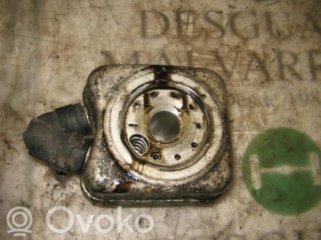 Radiator ulei motor   068117021B