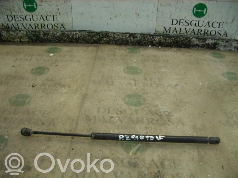 Tailgate/trunk strut/damper