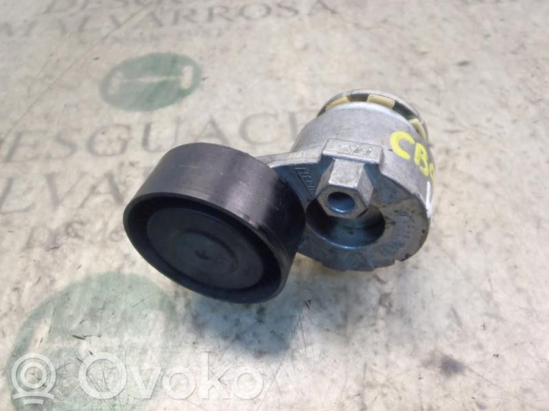 Renault Megane III Tendicinghia generatore/alternatore 