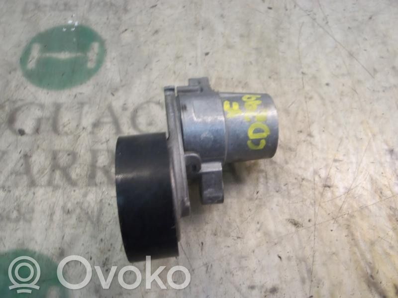 Tensor de correa del alternador   2431347