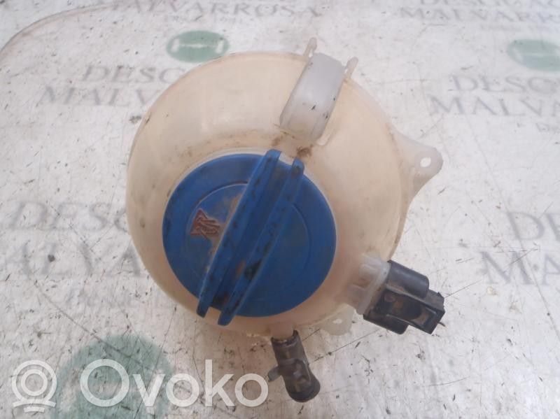 Skoda Fabia Mk2 (5J) Vas expansiune combustibil 
