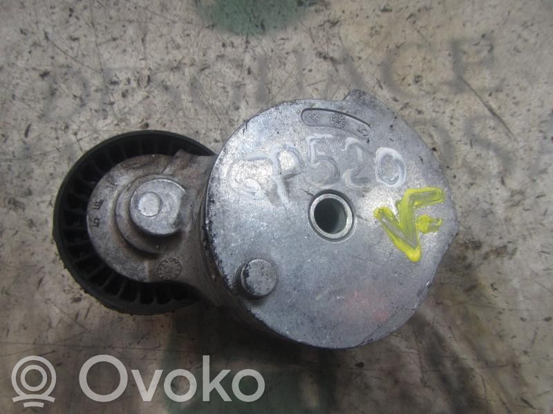 Ford Focus Diržo įtempėjas 