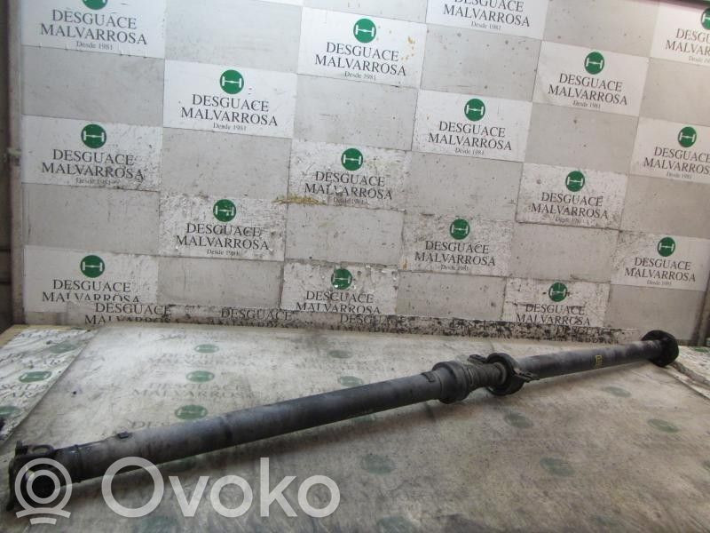 Cardan   493002B500