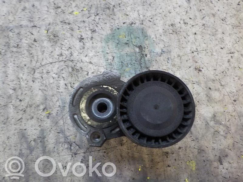 Renault Clio III Întinzător curea generator/alternator 