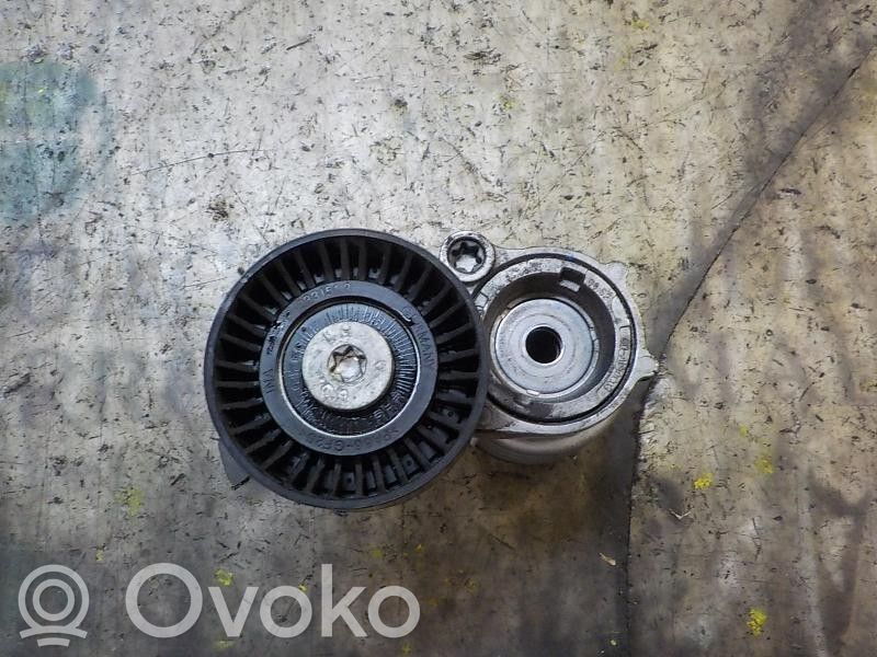 Skoda Fabia Mk2 (5J) Întinzător curea generator/alternator
