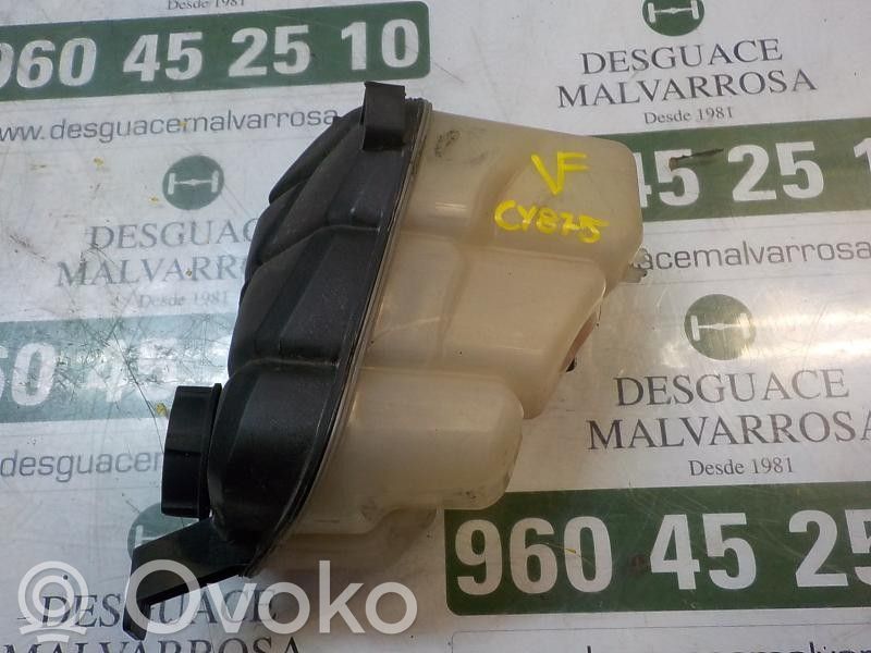 Vas expansiune combustibil   1460978