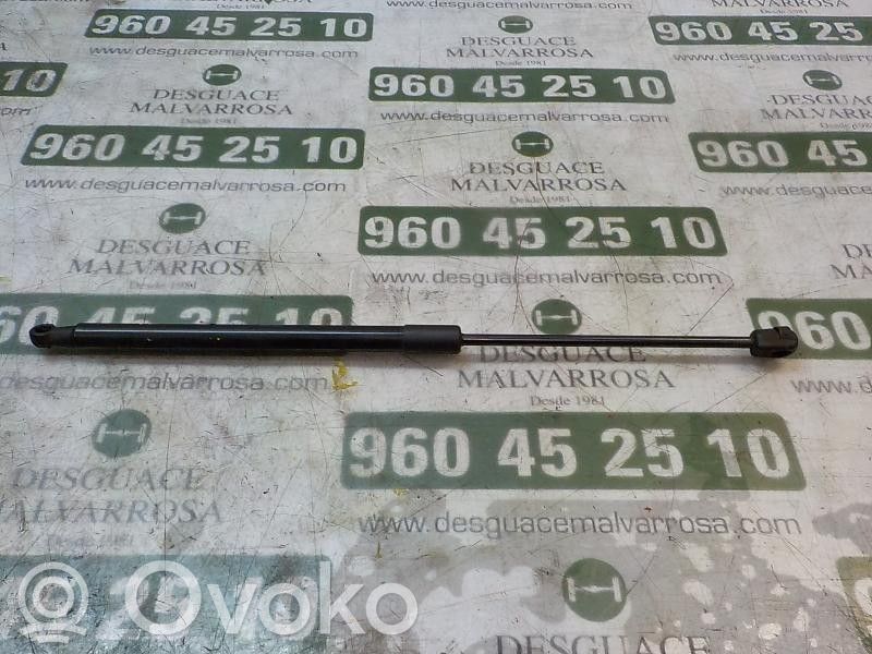 Skoda Fabia Mk2 (5J) Amortizor hayon 