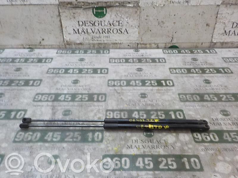 Amortiguador/puntal del maletero/compartimento de carga