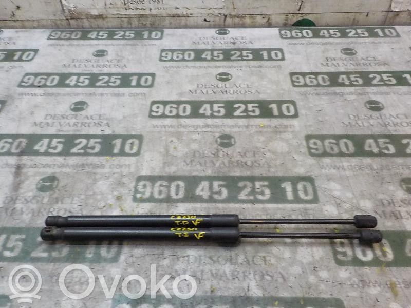 Fiat Sedici Ammortizzatore portellone posteriore/bagagliaio