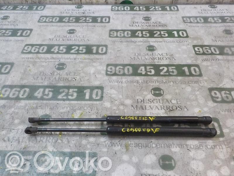 Tailgate/trunk strut/damper   51247060622