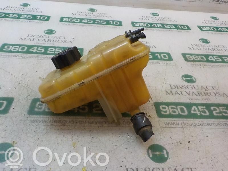 Peugeot 407 Vas expansiune combustibil 