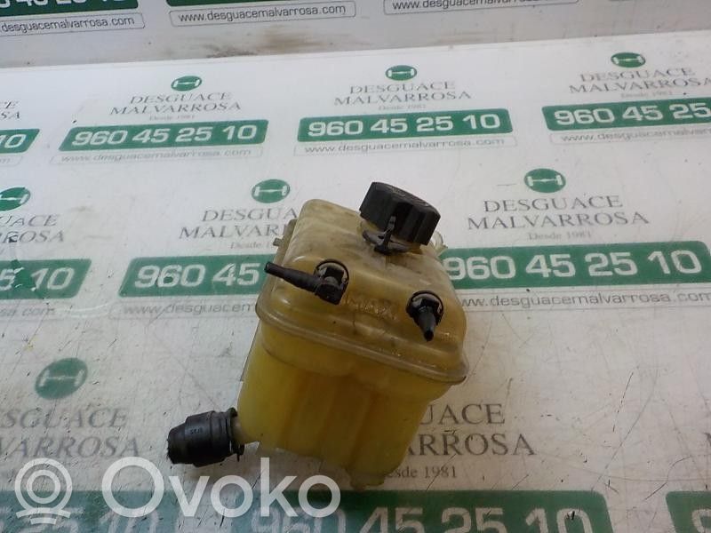 Peugeot 407 Vas expansiune combustibil 