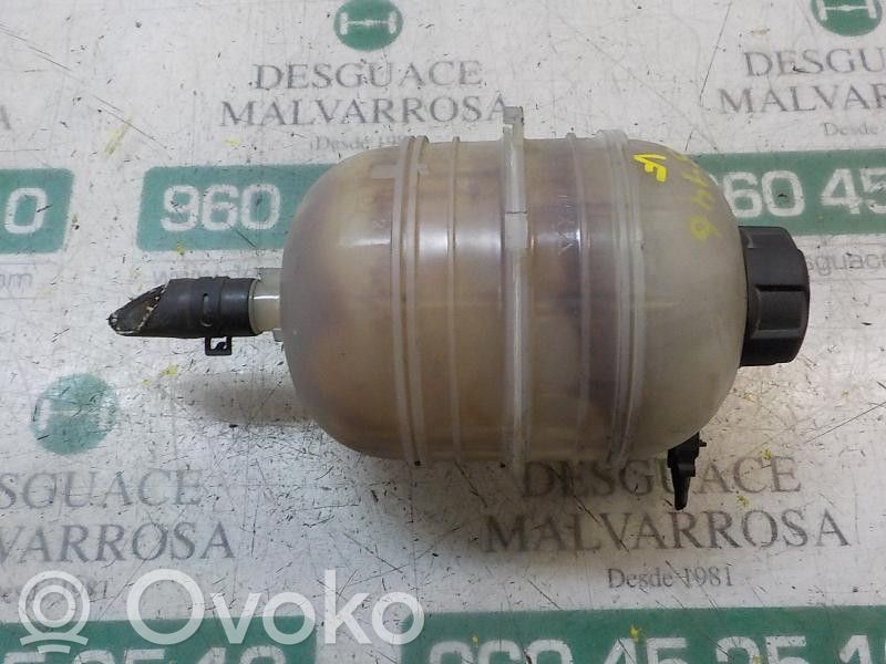 Peugeot 206+ Vas expansiune combustibil 