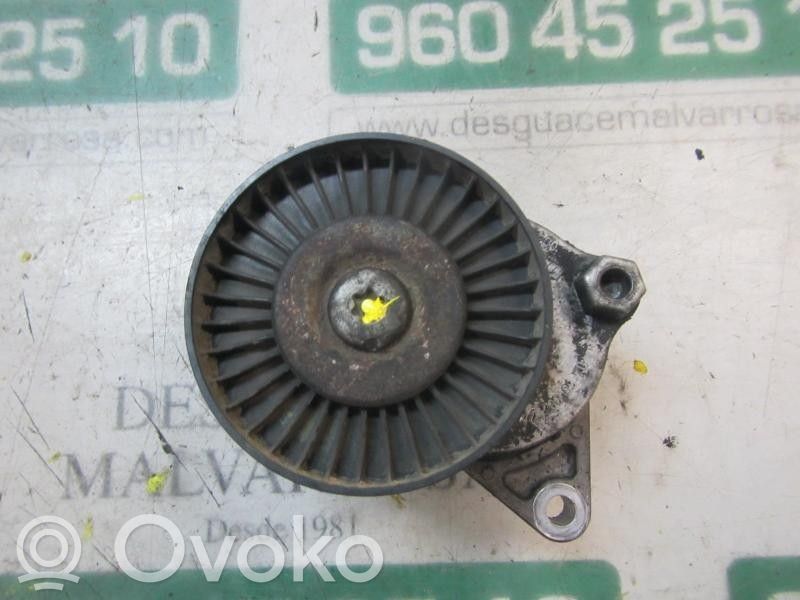 Mercedes-Benz E W211 Napinacz paska alternatora 