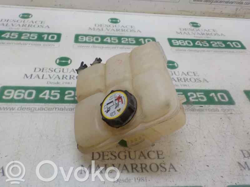 Depósito de expansión de combustible   1717053