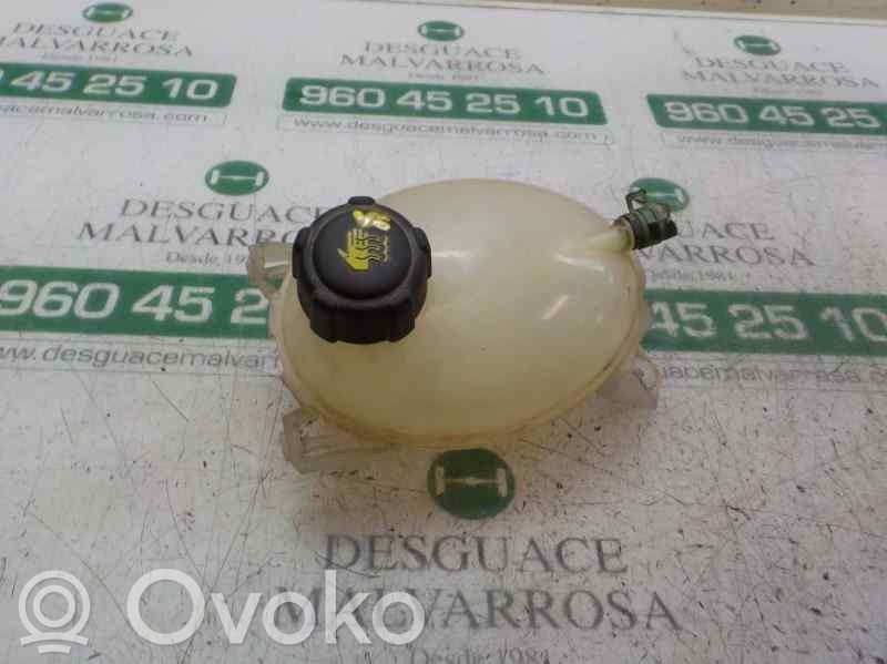 Dacia Sandero II Vaso di espansione carburante