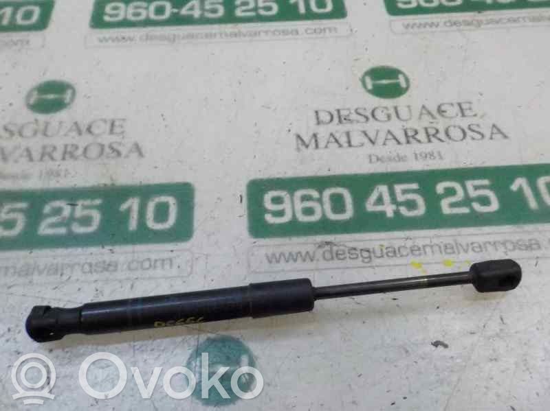 Konepellin kaasujousi   51237239233