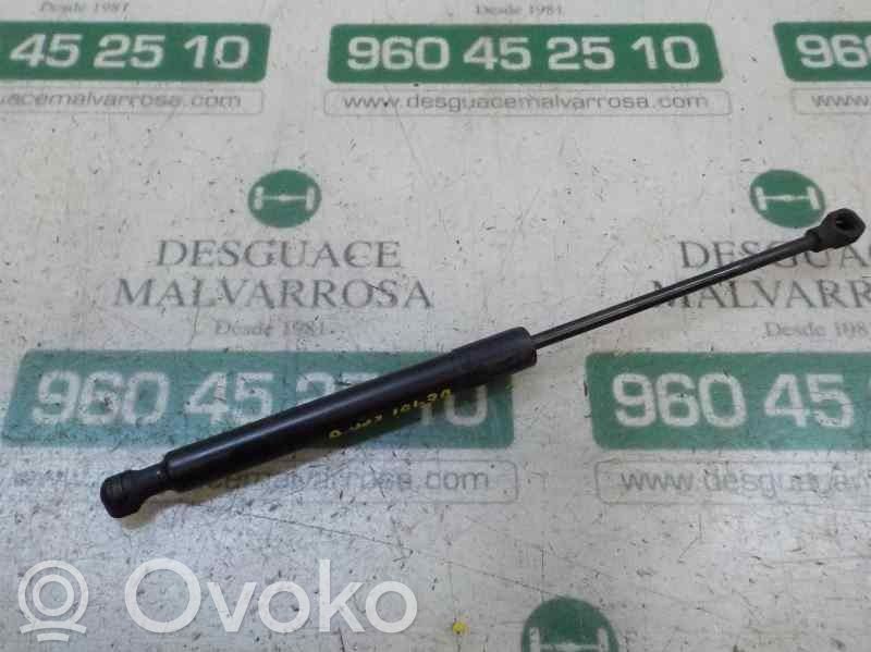Mercedes-Benz Citan W415 Amortizor capotă motor 