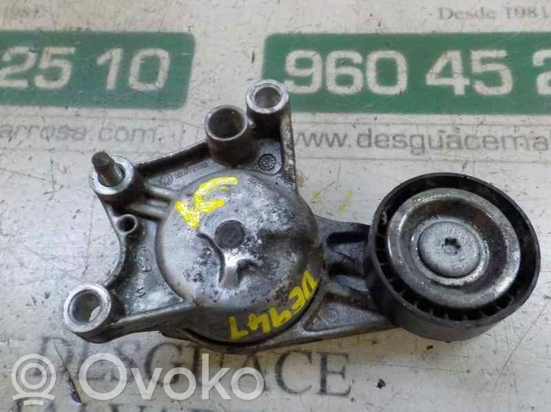 Citroen DS3 Tendicinghia generatore/alternatore