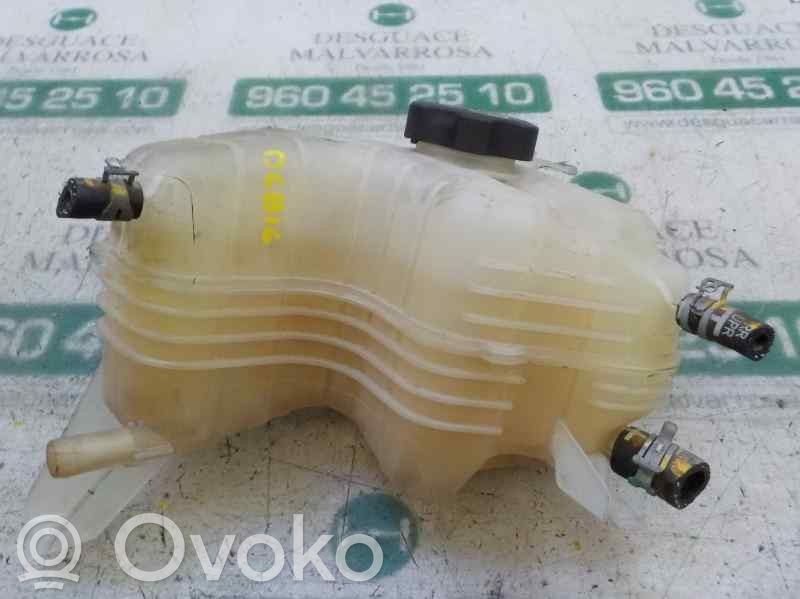 Opel Ampera Zbiornik wyrównawczy paliwa 