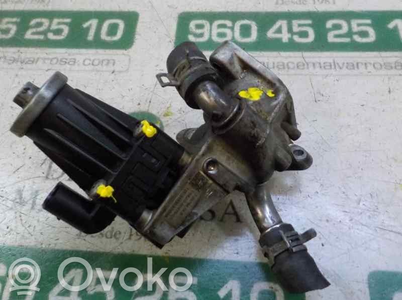 EGR-venttiili   1835009,BK2Q9D475CC