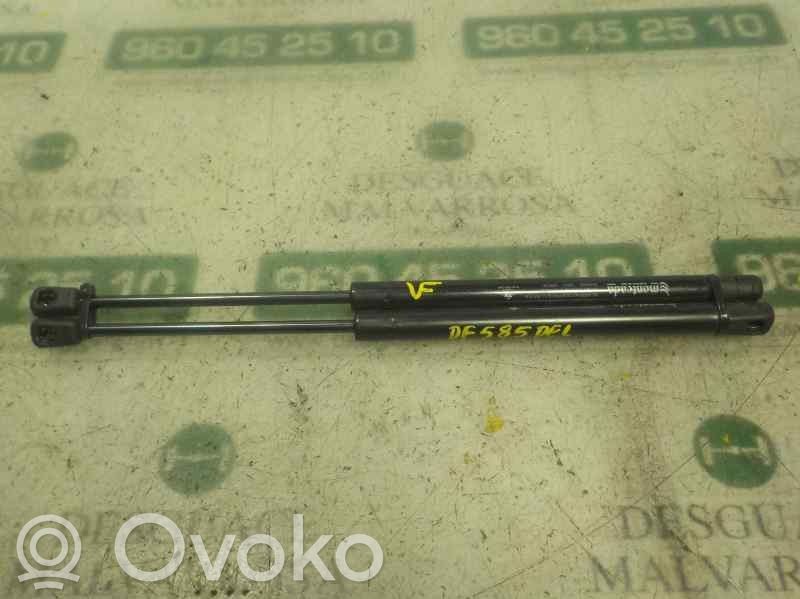 Tailgate/trunk strut/damper   51247250308