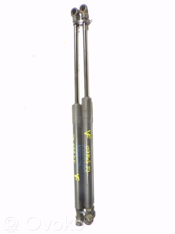 Tailgate/trunk strut/damper   51247127875
