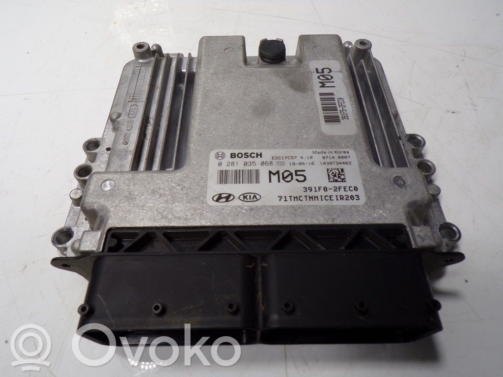 Unidad de control/módulo del motor   391F02FEC0,0281035068,0281035068